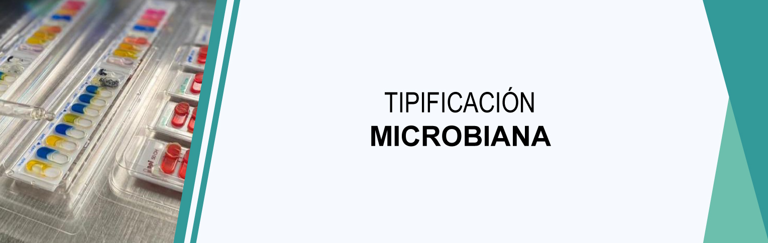 Bifar-tipificacion-microbiana-2.6